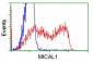 MICAL1 (18N18) Mouse Monoclonal antibody