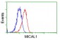 MICAL1 (18N18) Mouse Monoclonal antibody