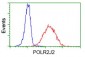 POLR2J2 (16E2) Mouse Monoclonal antibody