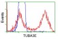 TUBA3E (Tubulin alpha 3e) (16K16) Mouse Monoclonal antibody